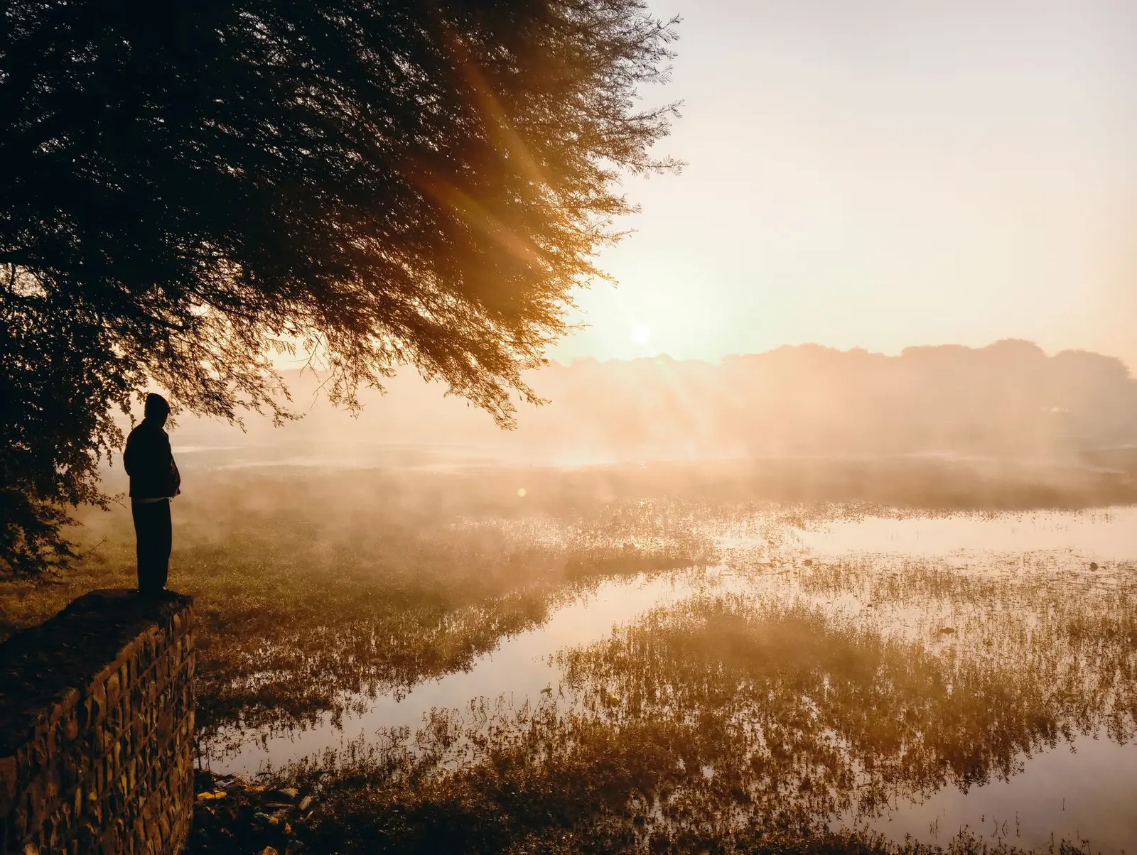 A calm, hopeful landscape